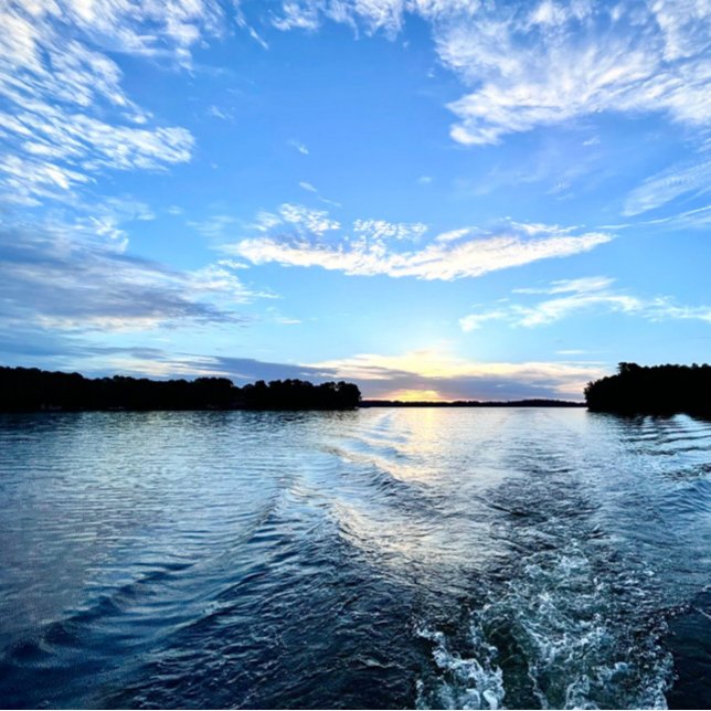 Etiqueta de dirección de retorno (Subido por el creador)