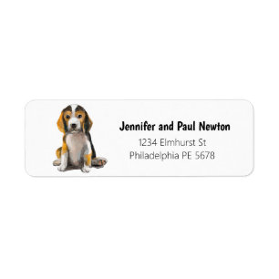 etiqueta de dirección de retorno de beagle pequeño