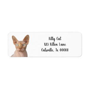 Etiqueta de dirección de retorno de gato sin sent