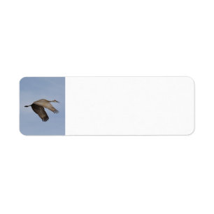 Etiqueta de dirección de Sandhill Crane