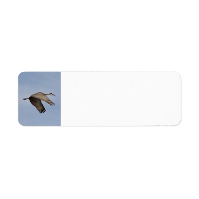 Etiqueta de dirección de Sandhill Crane (Frente)