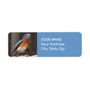 Etiqueta de dirección del Bluebird
