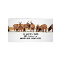 Etiqueta de dirección Elk Herd