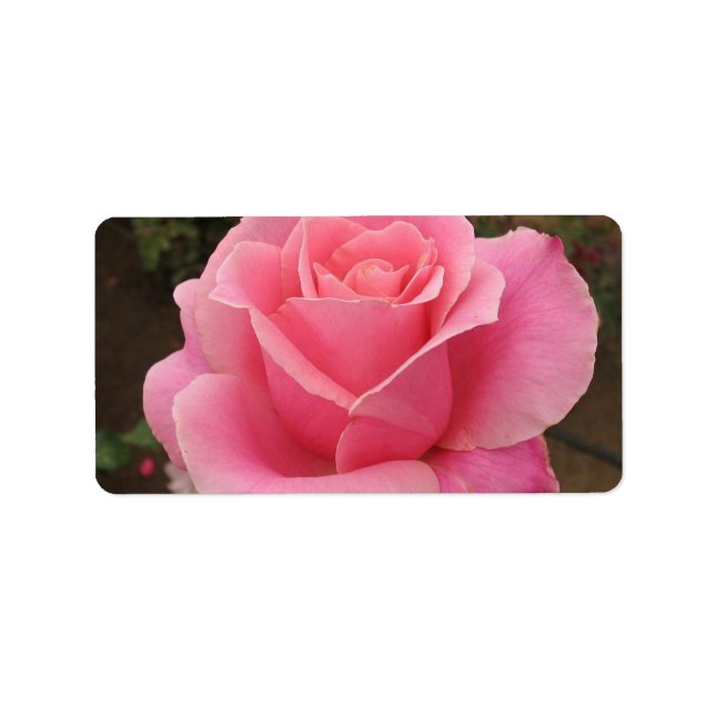 Etiqueta de dirección rosa rosa (Frente)