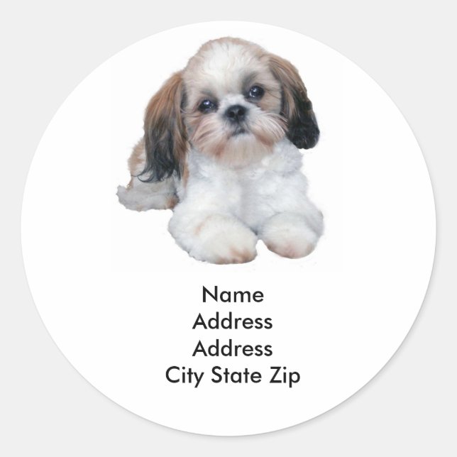 Etiqueta de dirección Shih Tzu (Anverso)