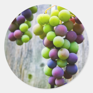 etiqueta de enlatado de gelatina de uva