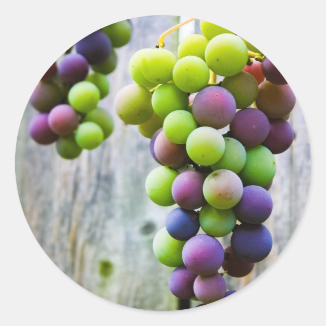 etiqueta de enlatado de gelatina de uva (Anverso)