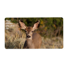 Etiqueta de envío de cierres