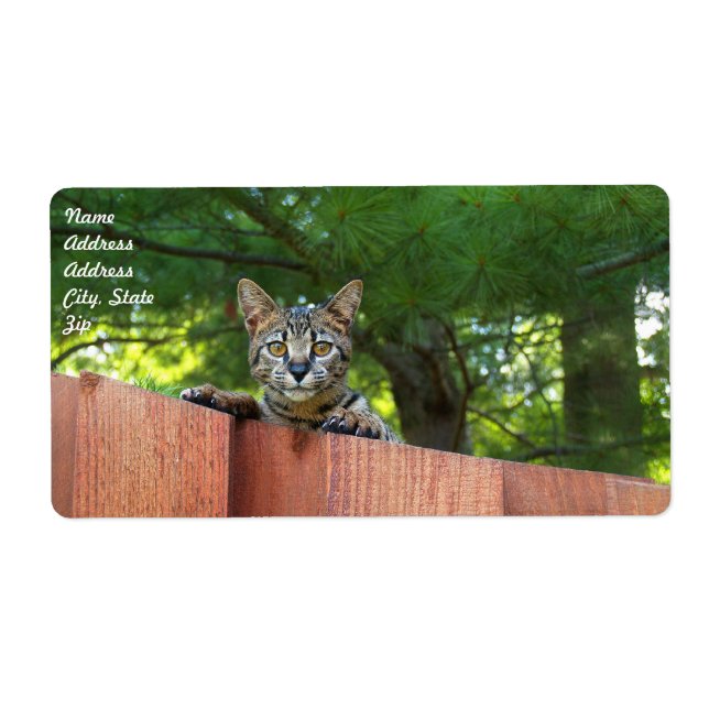 Etiqueta de envío de gato de Savannah (Frente)