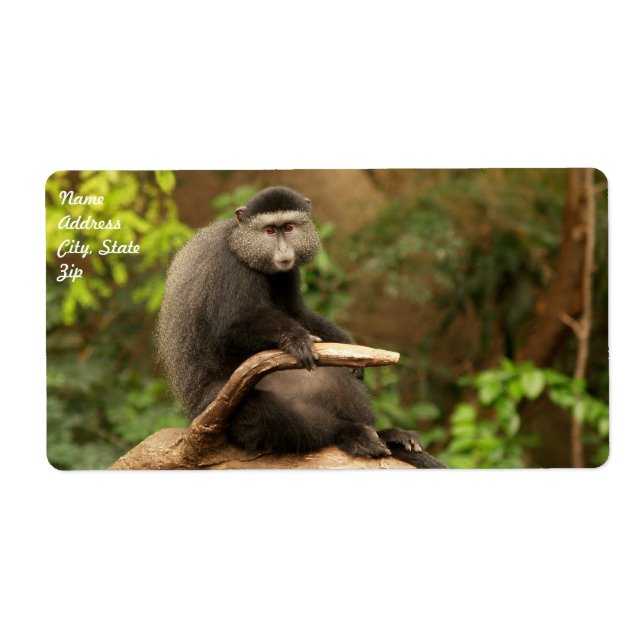 Etiqueta de envío de mono (Frente)