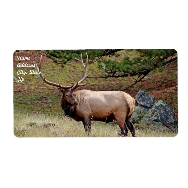 Etiqueta de envío Elk (Frente)