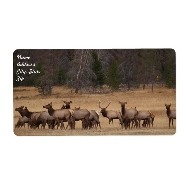 Etiqueta de envío Elk Herd (Frente)
