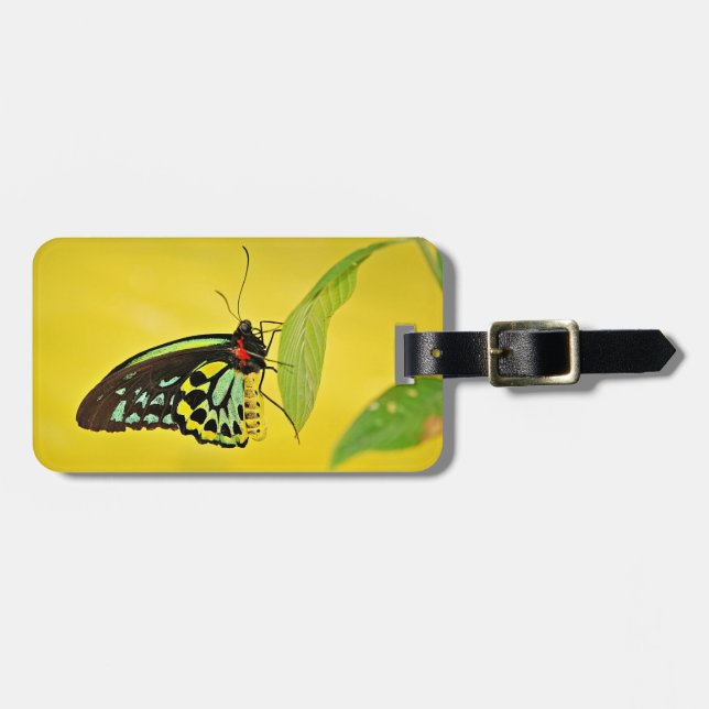 Etiqueta de equipaje (Frente Horizontal)