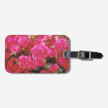 Etiqueta de equipaje con inserción de tarjetas y f