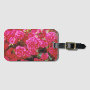 Etiqueta de equipaje con inserción de tarjetas y f