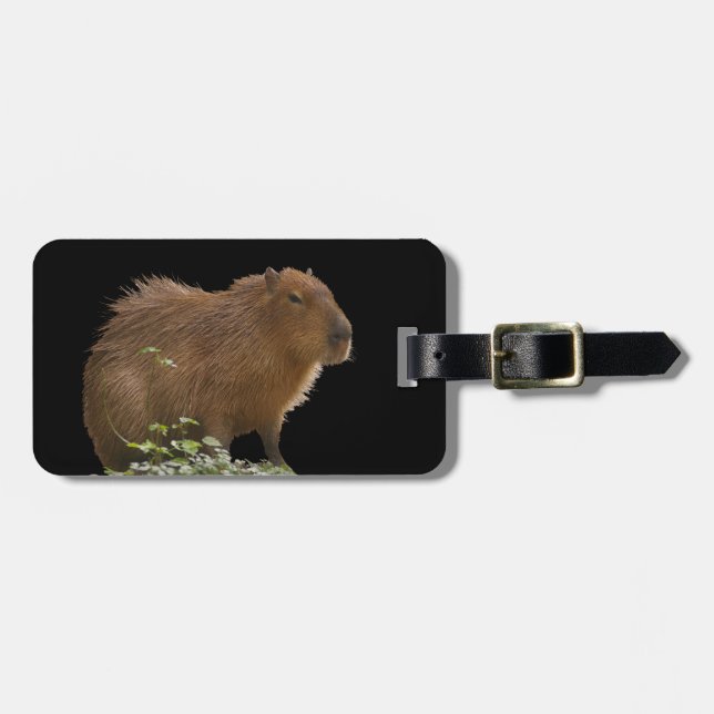 Etiqueta de equipaje de Capybara (Frente Horizontal)