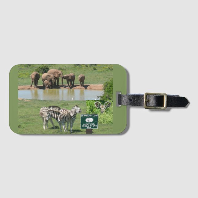 Etiqueta de equipaje de cebras y leones sudafrican (Anverso horizontal)