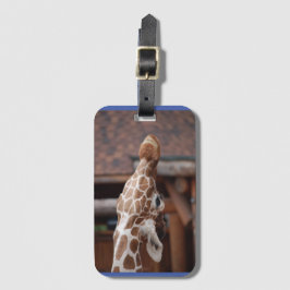 Etiqueta de equipaje de Diva #1