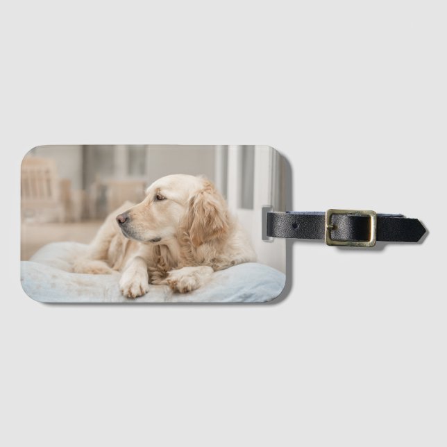 Etiqueta de equipaje de Golden Retriever (Anverso horizontal)