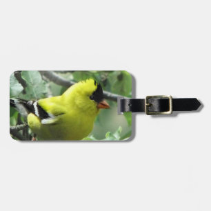 Etiqueta de equipaje de Goldfinch