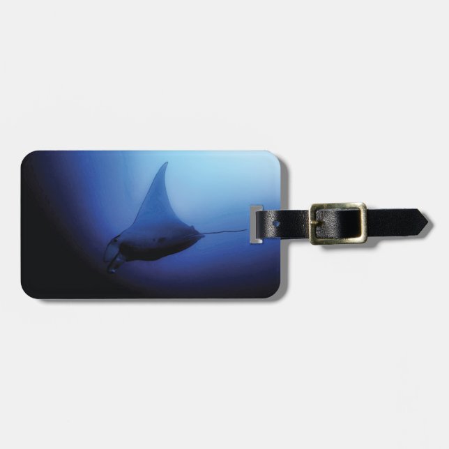 Etiqueta de equipaje de Manta Ray (Frente Horizontal)