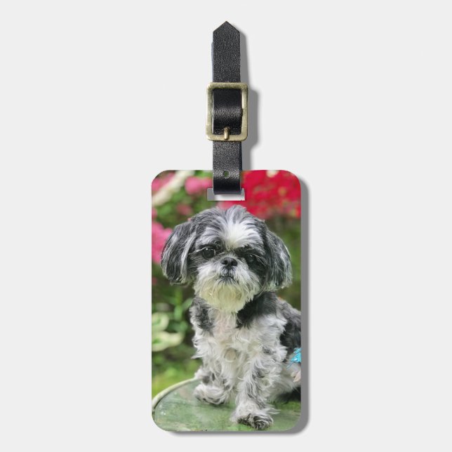 Etiqueta de equipaje de Shih Tzu Chica (Frente Vertical)