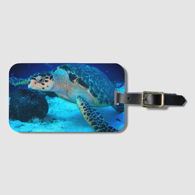 Etiqueta de equipaje de tortuga marina (Anverso horizontal)