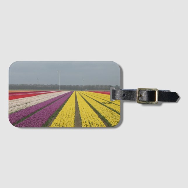 Etiqueta de equipaje del campo Holland Tulips (Anverso horizontal)