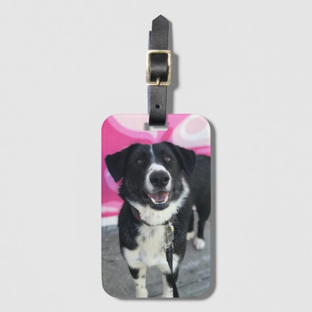 Etiqueta de equipaje del Personalizado de fotograf (Anverso vertical)