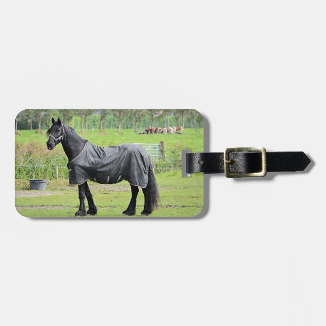 Etiqueta de equipaje del personalizado de Horse Lo (Frente Horizontal)