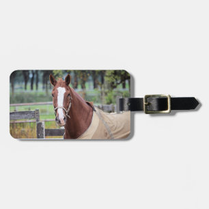 Etiqueta de equipaje del personalizado de Horse Lo