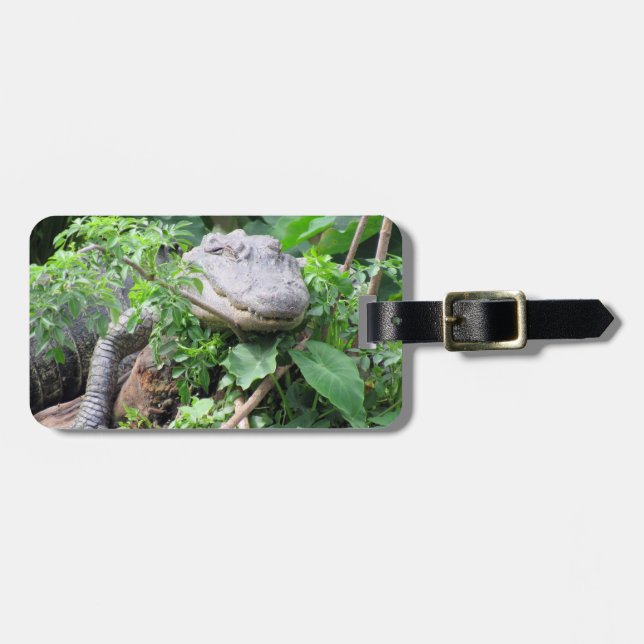 Etiqueta de equipaje personalizada - Gator cómodo (Frente Horizontal)