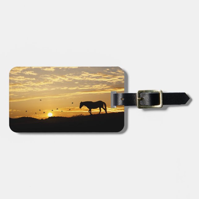 Etiqueta de equipajes para caballos y atardecer (Frente Horizontal)