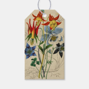 Etiqueta de Flores Vintage