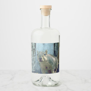 Etiqueta de frasco de ardilla