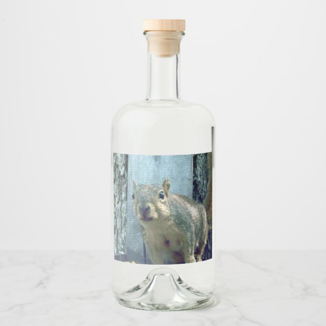 Etiqueta de frasco de ardilla (Anverso)