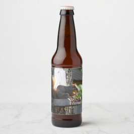 Etiqueta de frasco de ardilla