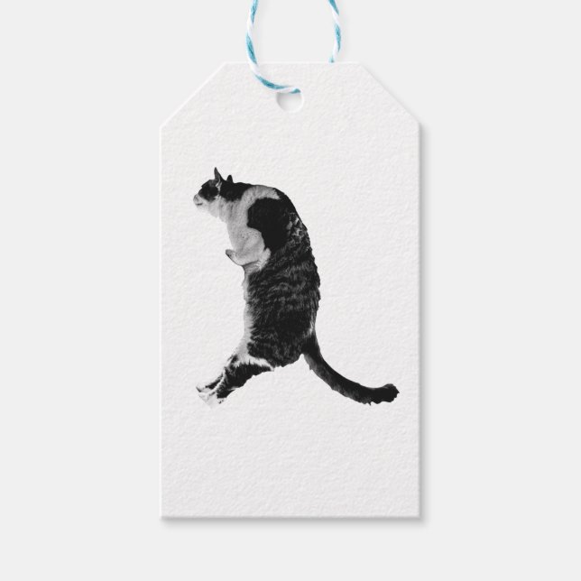 Etiqueta de gato sutil (Anverso)