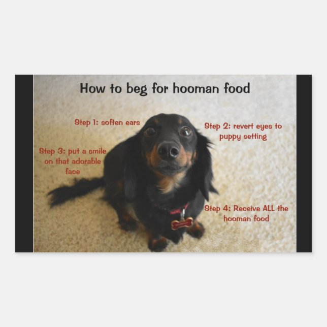 Etiqueta de jarra para galletas de galleta de perr (Anverso)