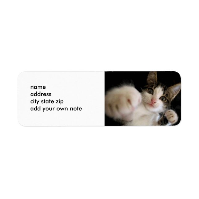 ETIQUETA DE KITTY HISSABLE (Frente)