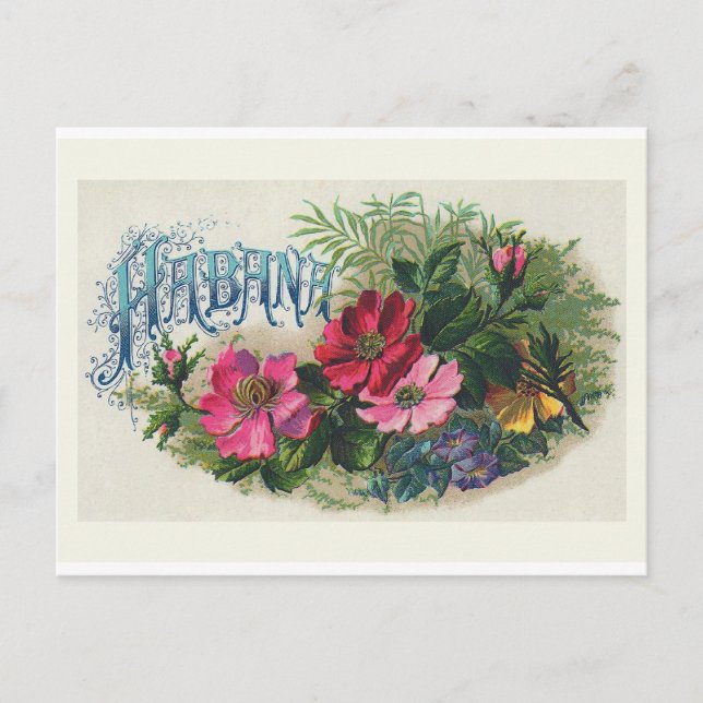 "Etiqueta de la caja de habana con cigarro" postal (Anverso)