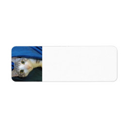 Etiqueta de la dirección de devolución de Café Bob