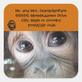 Etiqueta de la dirección de Orangutan