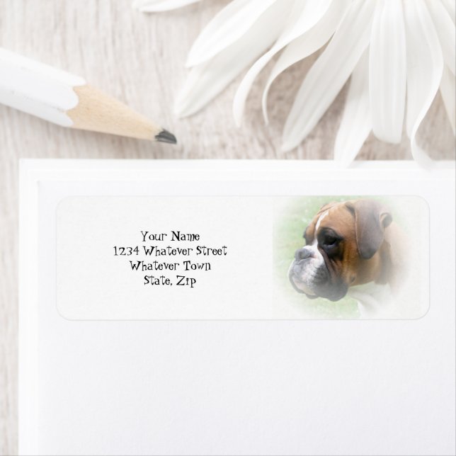 Etiqueta de la dirección de retorno del perro del  (In situ)