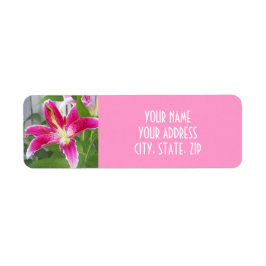 ETIQUETA DE LA DIRECCIÓN DE STARGAZER LILY