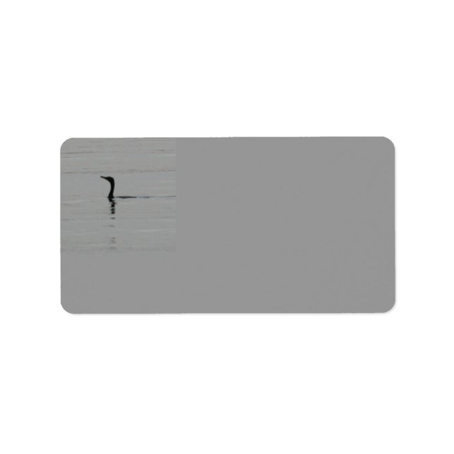 Etiqueta de la dirección del lago (Frente)