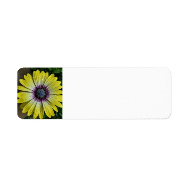 Etiqueta de la flor amarilla (Frente)