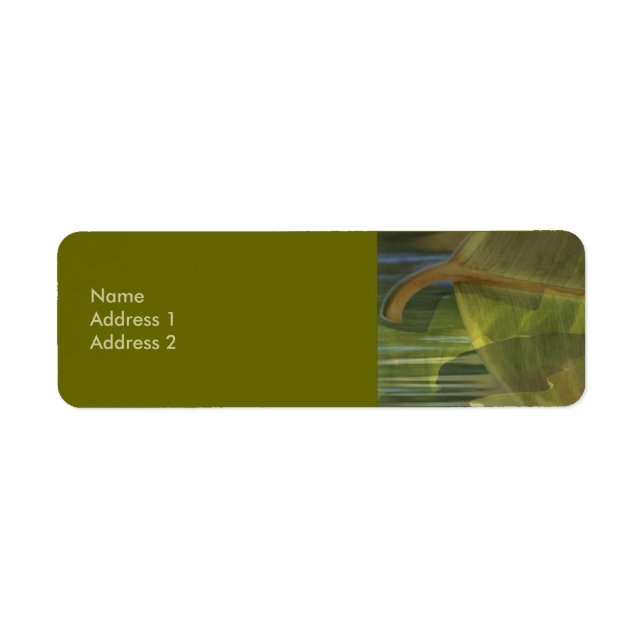 Etiqueta de la naturaleza en equilibrio (Frente)