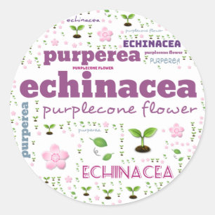 ETIQUETA DE LA PALABRA HERB - HERBS/VERDURAS - PUR