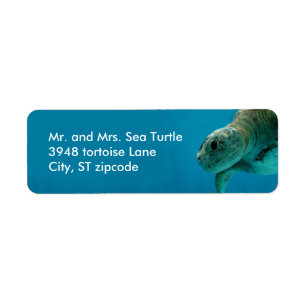 etiqueta de la tortuga de mar